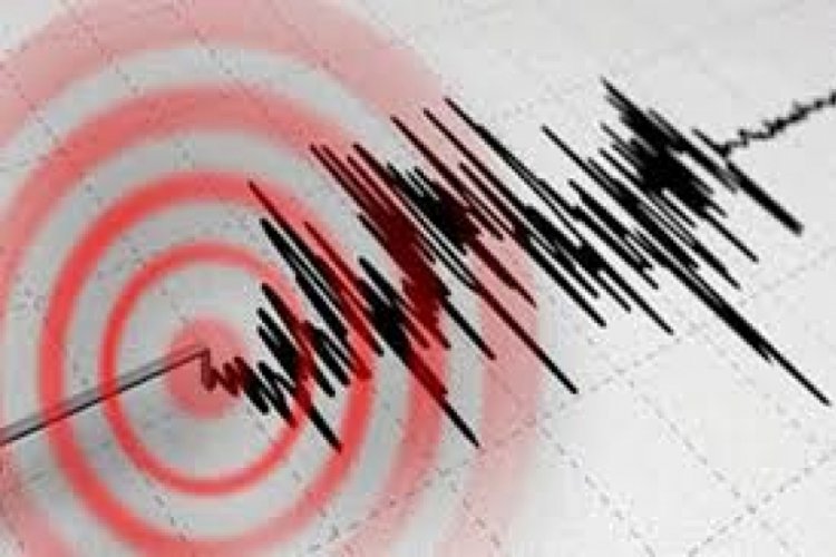 Şiddetli depremin ardından acil durum ilan edildi