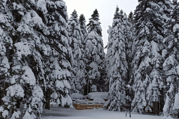 Bursa Uludağ'da kar kalınlığı 145 santimetreyi geçti