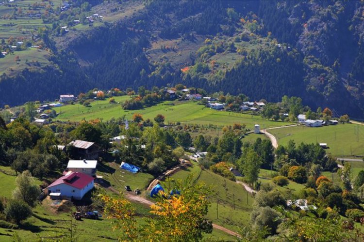 Doğu Karadeniz i&ccedil;in 20 milyon liralık destek paketi hazırlandı