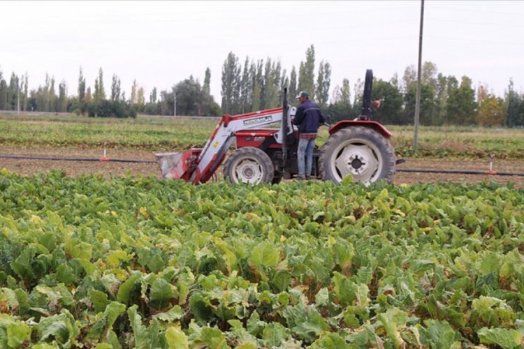 G&uuml;bre i&ccedil;in 5 yılda 5,6 milyar dolar ithalat yapıldı
