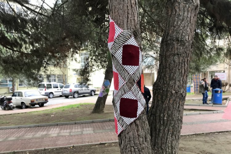 Bursa'da ağa&ccedil;lara el &ouml;rg&uuml;s&uuml; "kazak" giydirdiler