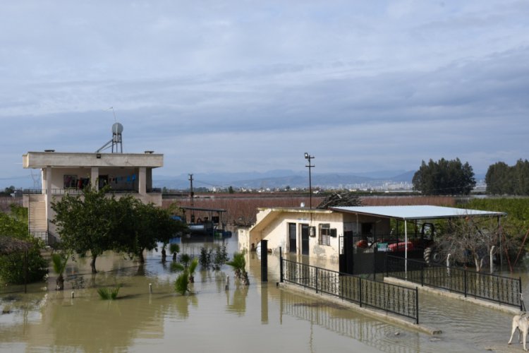 Selden sonra ağır bilan&ccedil;o ortaya &ccedil;ıktı