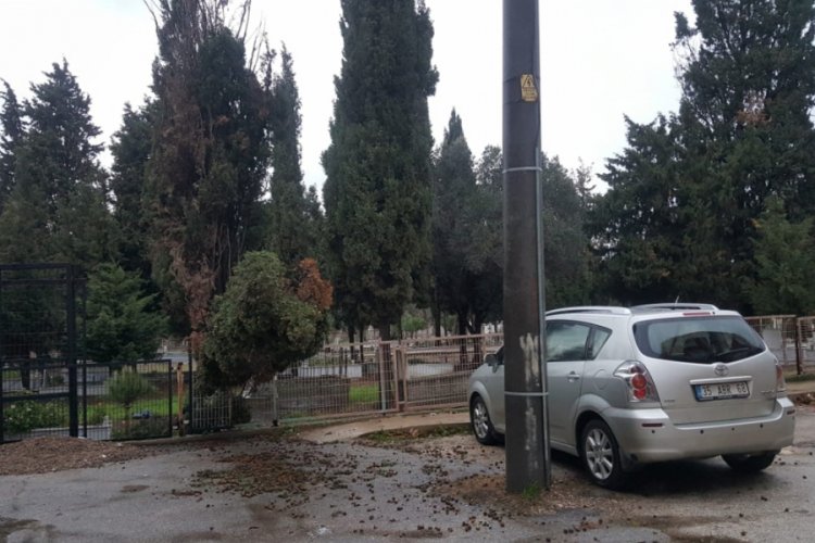 Bursa Karacabey'de fırtına ağaçları devirdi