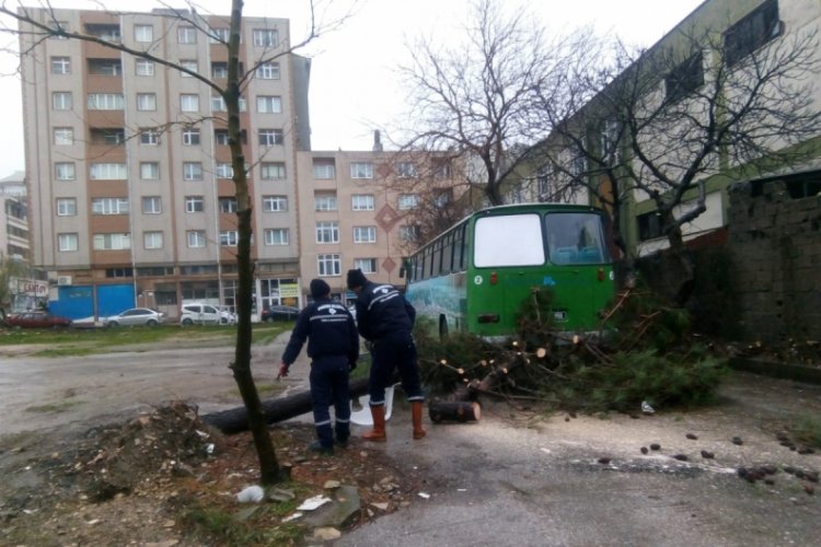 Fırtınanın yaraları sarılıyor