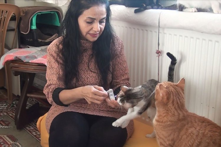 2 odalı evde 17 kedi ile birlikte yaşıyor Yaşam Haberleri
