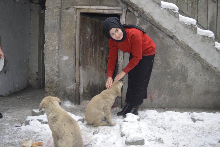 Donmak &uuml;zere olan yavru k&ouml;peklere sahip &ccedil;ıktı