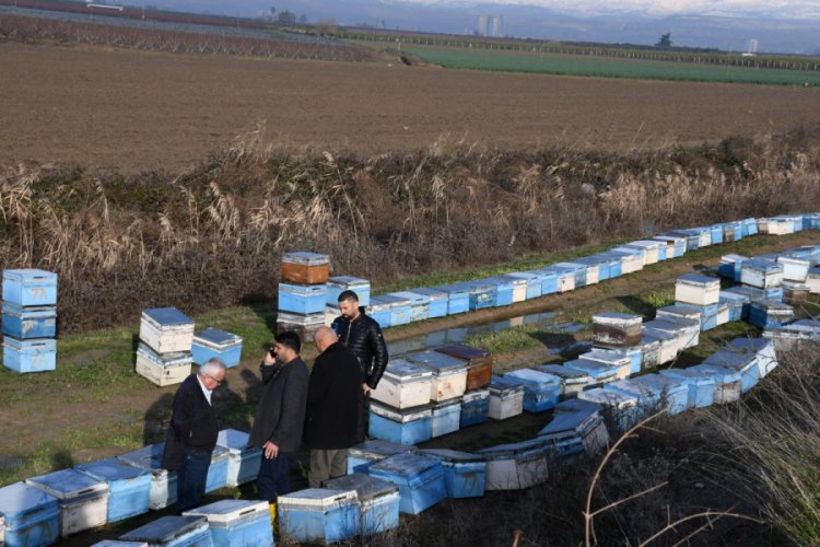 15 bin arı kovanı sular altında kaldı