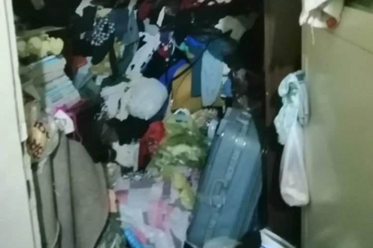 K&ouml;m&uuml;rl&uuml;kten bir kamyon dolusu &ccedil;&ouml;p &ccedil;ıkarttılar