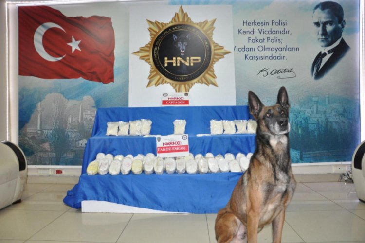 Evde 'Akrep'li aramada esrar ve uyuşturucu haplar ele ge&ccedil;irildi