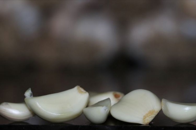 Sarımsak i&ccedil;in alerji uyarısı