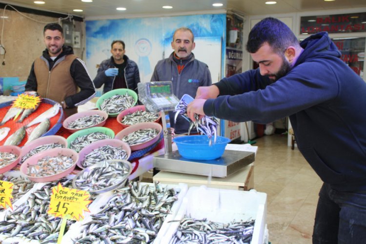 Karadeniz'de balık azlığı, fiyatlara yansıyor