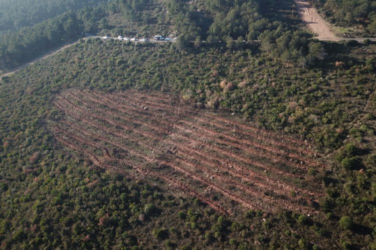 Aydos Ormanı'ndaki yangınla ilgili keşif yapıldı