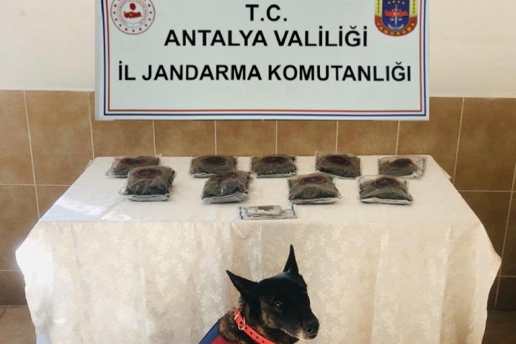 Uyuşturucu operasyonunda 1 tutuklama