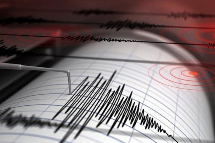 Marmara Denizi'nde 14 deprem oldu