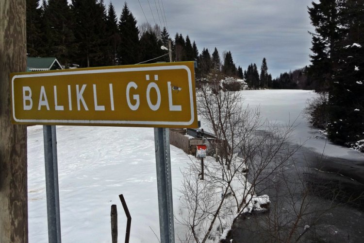 Soğuk havadan dolayı g&ouml;l dondu