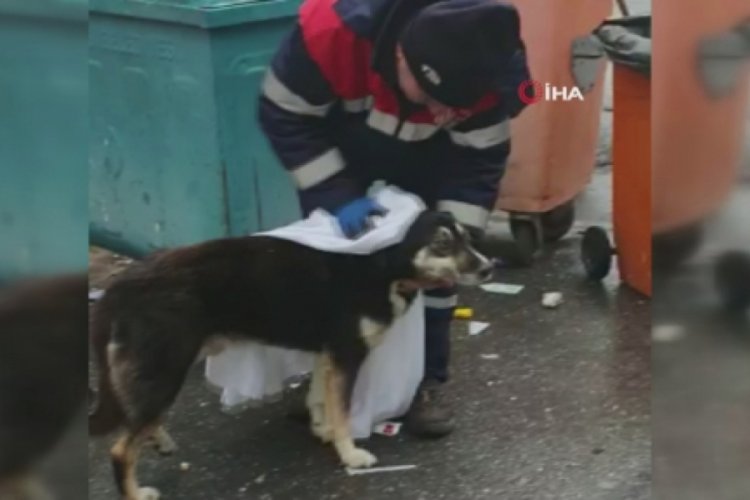 Temizlik iş&ccedil;isinden i&ccedil;leri ısıtan insanlık dersi