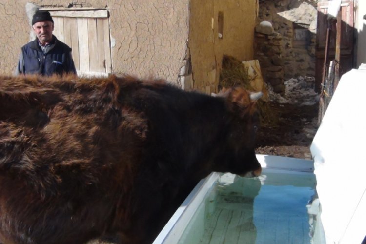 Buzdolabından sıvat yaptı, hayvanlarına su i&ccedil;irdi