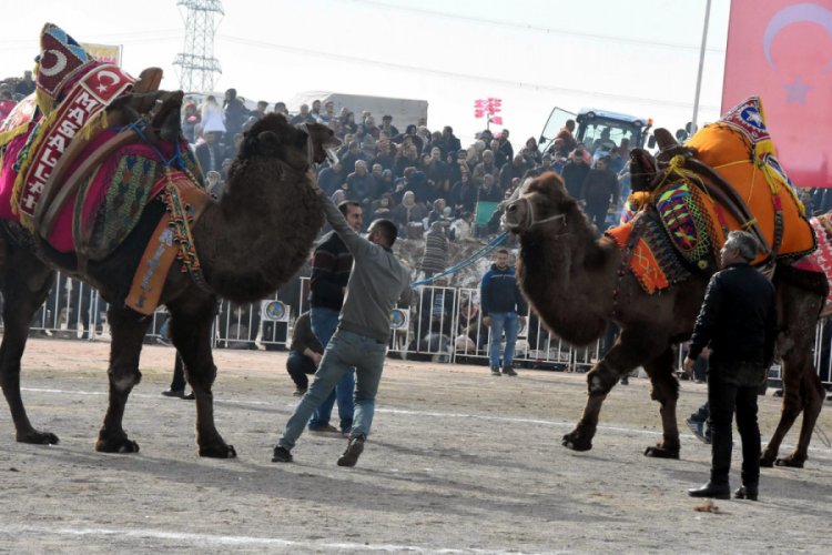 HAYTAP Temsilcisi &Ouml;nder'den Başkan Aksoy'a 'deve g&uuml;reşleri' tepkisi