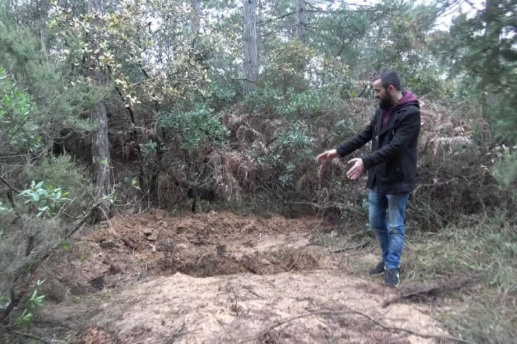 Ormanda battaniyeye sarılı kadın cesedi bulundu