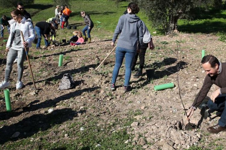 Lizbon 2020 Avrupa Yeşil Başkenti se&ccedil;ildi