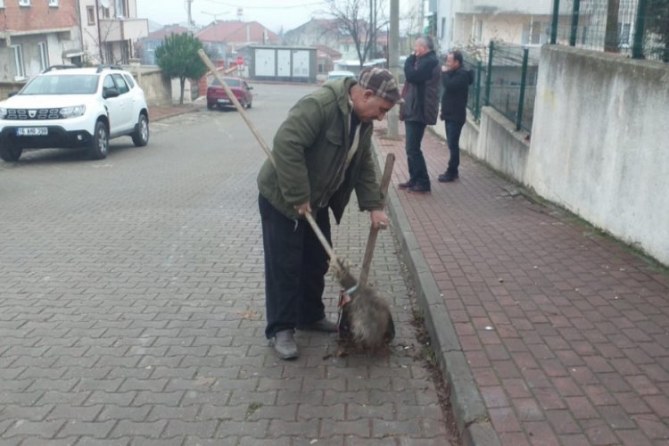 Bursa'da her g&uuml;n oturduğu caddeyi temizliyor
