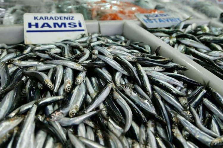 Balık&ccedil;ılar yeni yılda hamsi sevinci yaşıyor