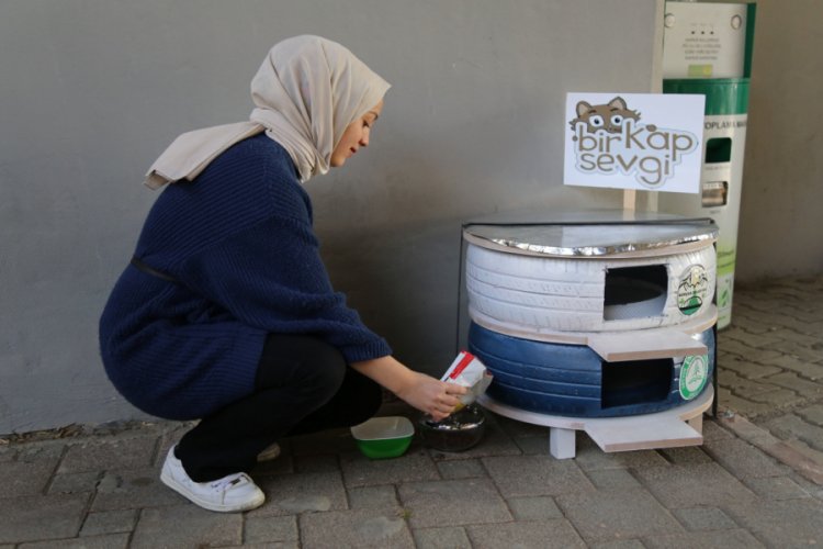 &Ouml;ğrenciler hurda lastiklerden kedilere yuva yaptı