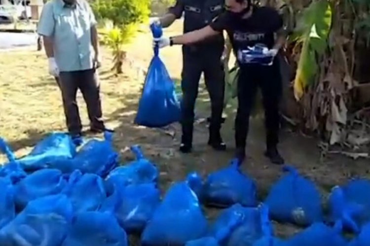 154 kobra yılanı yakaladılar
