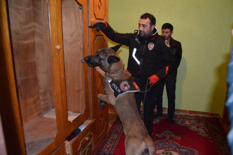 Uyuşturucu satıcılarına şafak baskını