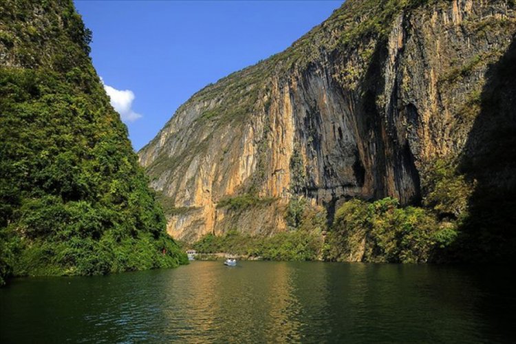 &Ccedil;in'in Yangzı Nehri'ndeki balık pop&uuml;lasyonu yok olma tehlikesiyle karşı karşıya