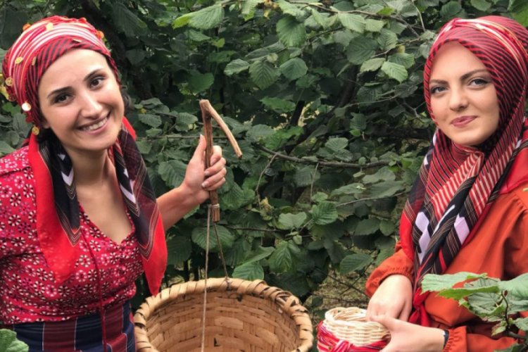 Fındık fiyatındaki y&uuml;kseliş umutlandırıyor