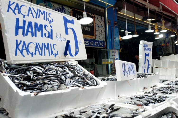5 liralık hamsi i&ccedil;in birbirleriyle yarıştılar