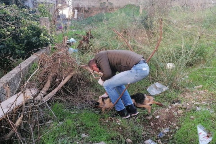 Kendisine saldırdığını &ouml;ne s&uuml;rd&uuml;ğ&uuml; k&ouml;peği bı&ccedil;aklayarak &ouml;ld&uuml;rd&uuml;