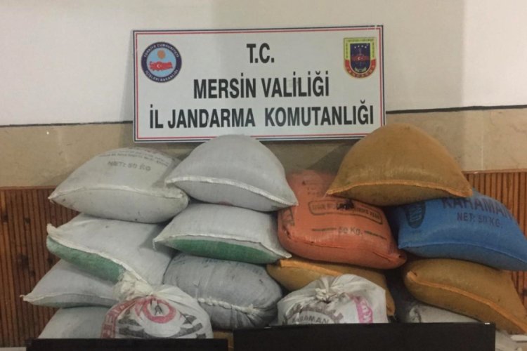 25 bin lira değerinde 1,5 ton kuru &uuml;z&uuml;m&uuml; &ccedil;aldılar