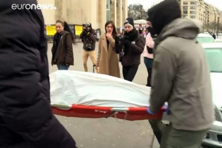 &Ouml;l&uuml; yunus balıklarıyla 'aşırı avlanma' karşıtı protesto