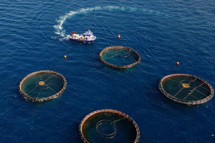 Su &uuml;r&uuml;nleri ihracatı 1 milyar dolar kazandırdı