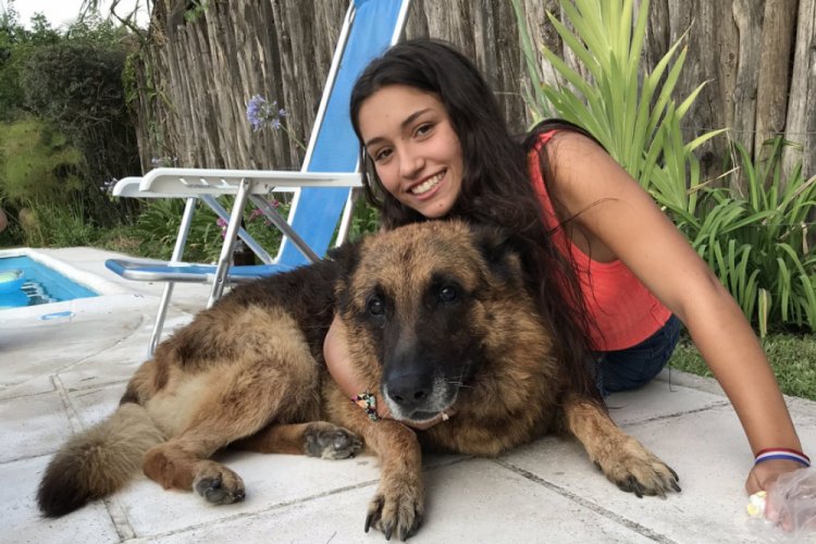 Beraber fotoğraf &ccedil;ektirmek istediği k&ouml;pek y&uuml;z&uuml;n&uuml; ısırdı