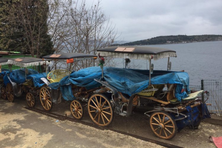 Fayton kararına faytoncular ve ada halkının yorumu
