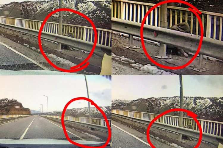 Kayıp G&uuml;listan'ın olay g&uuml;n&uuml; k&ouml;pr&uuml;de g&ouml;r&uuml;nt&uuml;s&uuml; &ccedil;ıktı