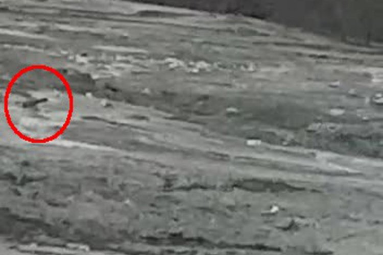 &Ccedil;amura batan şahsın yardım &ccedil;ığlığı