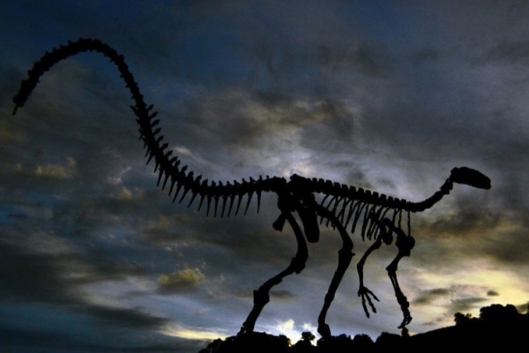 Dinozorların yok olmasının asıl nedeni açıklandı