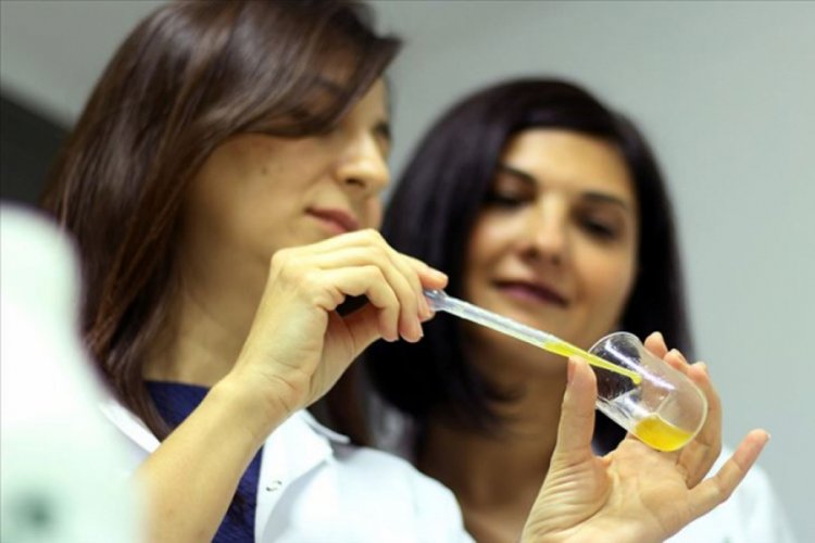 KOSGEB desteğiyle D vitaminli zeytinyağı &uuml;rettiler