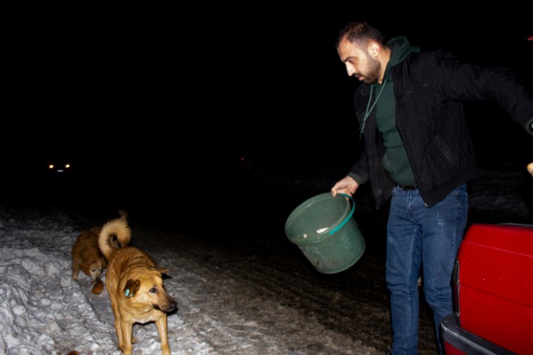 Bursa'da gündüz pilav satıp gece sokak hayvanlarını besliyor