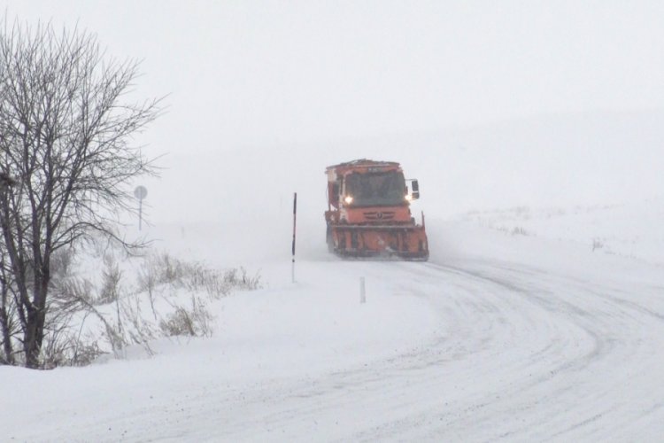 Ardahan'da kar ve tipi ulaşımı aksattı
