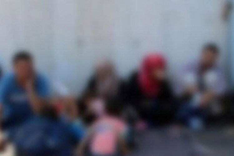 44 düzensiz göçmen ve 1 organizatör jandarmadan kaçamadı