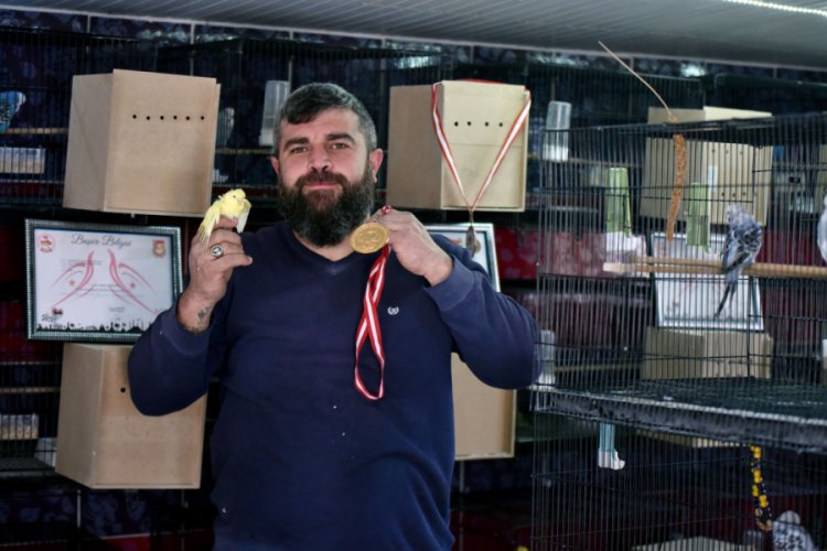 Evinde 200 muhabbet kuşu besliyor