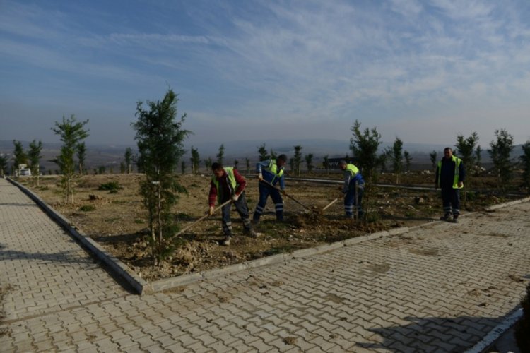 Bursa İneg&ouml;l kent mezarlığı yeşilleniyor
