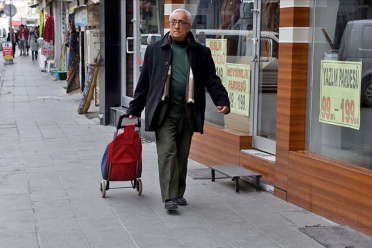 Pazar arabasıyla sokak hayvanlarına yiyecek taşıyor