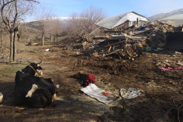 &Ccedil;evrimtaş k&ouml;y&uuml;ndeki evlerin y&uuml;zde 90'ı yıkıldı