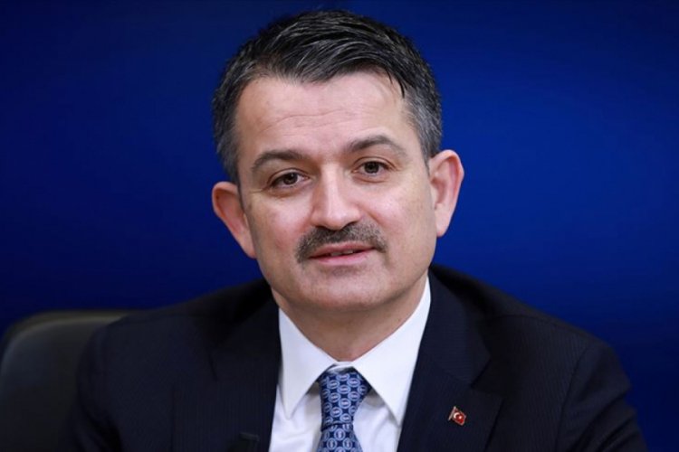 "Hayvanlara işkence yapanlara cezalar artacak"